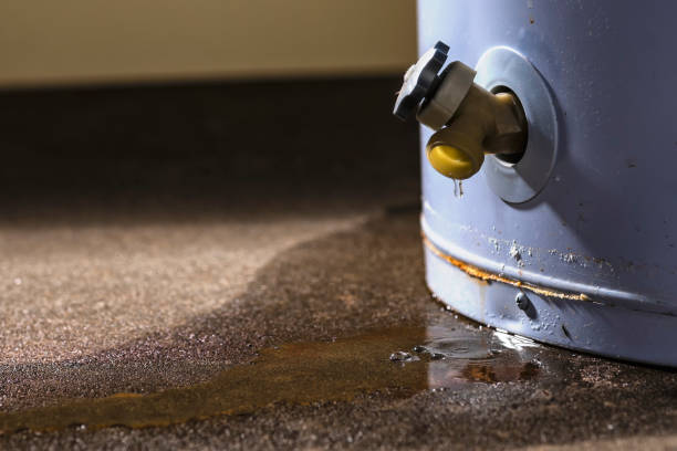 Best Water damage restoration near me  in Stanley, NC