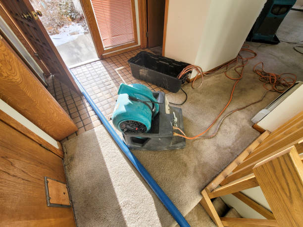 Reliable Stanley, NC Water damage restoration Solutions