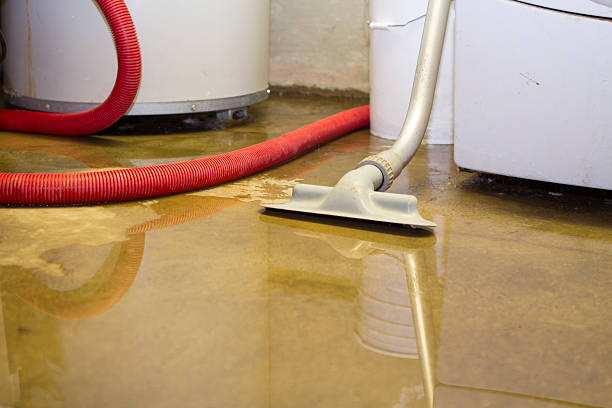 Best Water damage contractors near me  in Stanley, NC